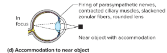 <p>looking at object close up </p>