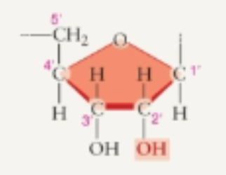 <p>What sugar is this?</p>