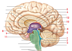 <p>1</p>