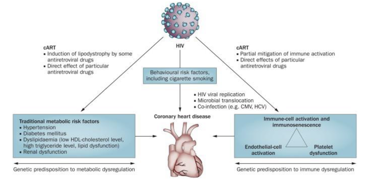<p>management + tx of HIV</p>