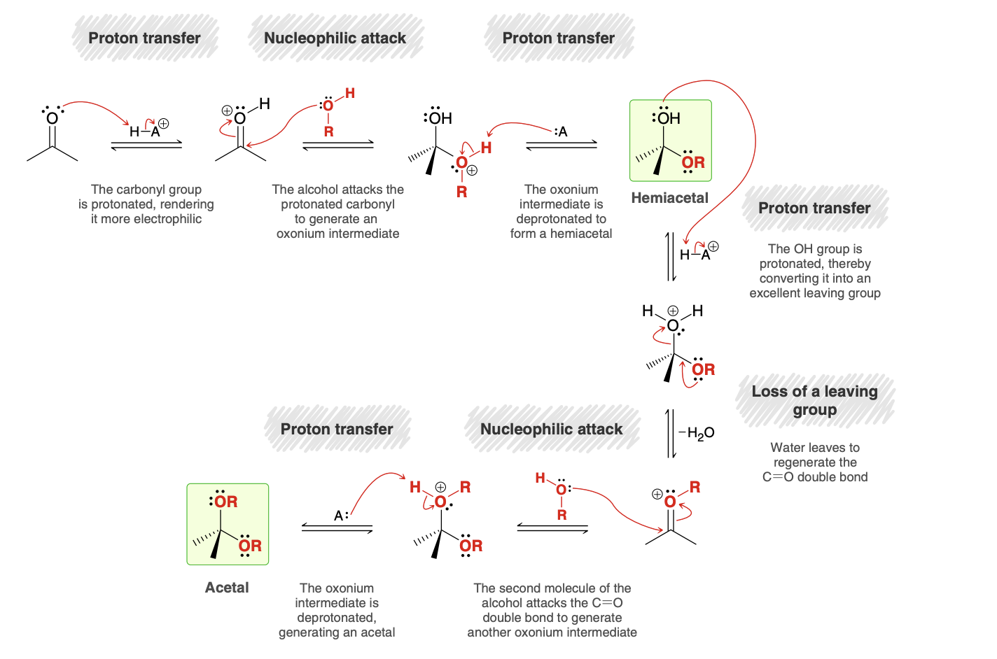 <p>Notes: The identity of the acid, HA+, is most likely a protonated alcohol, which received its extra proton from the acid catalyst.</p><p>The oxonium ion is deprotonated by a weak base (A), which is likely to be a molecule of alcohol present in solution.</p><p>Acid is not consumed in the process</p>