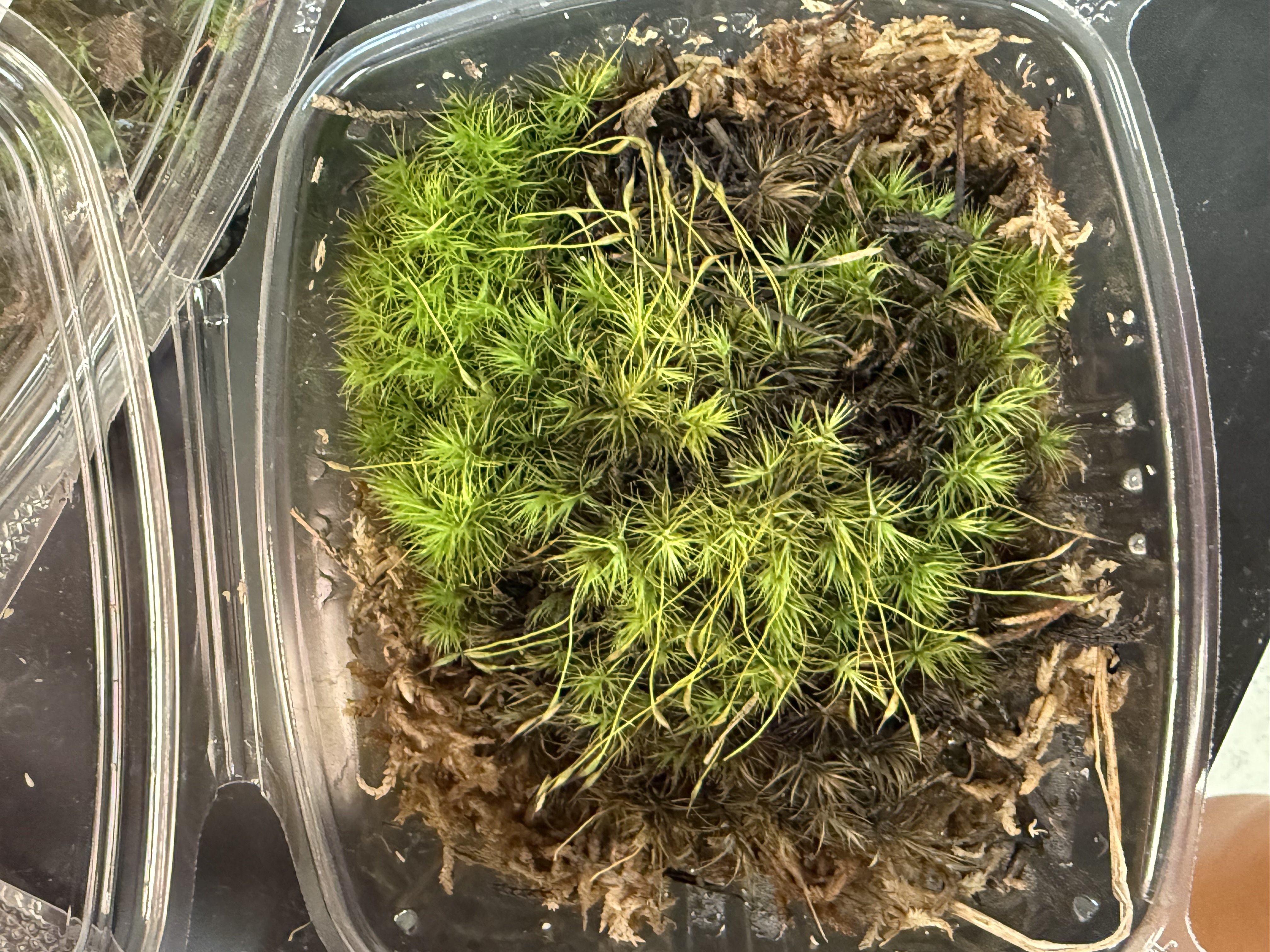 <p>What is this?</p>