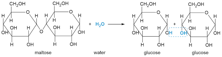 <p>this is an example of what kind of rxn</p>