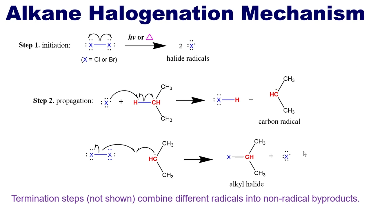 <p>3 steps</p><p><strong>Initation</strong></p><ul><li><p>Halogen splits into two Halide radicals</p></li></ul><p><strong>Propagation</strong></p><ul><li><p>The Halogen forms a bond with a hydrogen and forms a Carbon hydrogen <strong>radical. </strong>This radical occurs on the most substituted carbon.  </p></li><li><p>Then the <strong>radical </strong>will bond with a halogen molecule to create an <strong>Alkyl Halide </strong>and a <strong>halogen radical. </strong>[this continues the <strong>propagation </strong>steps]</p></li></ul><p><strong>Termination</strong></p><ul><li><p>Ends the reaction by combining different radicals into non-radical byproduct. </p></li></ul><p></p>