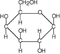 <p>What biomolecule has such structuring?</p>