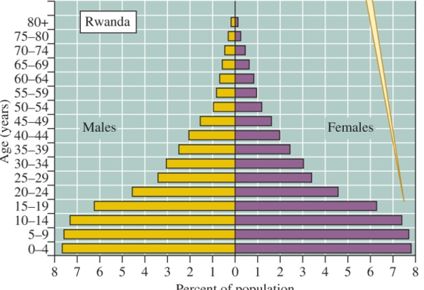 <p>Declining population due to low birth rates</p><p>declining population (low birth rate)</p>