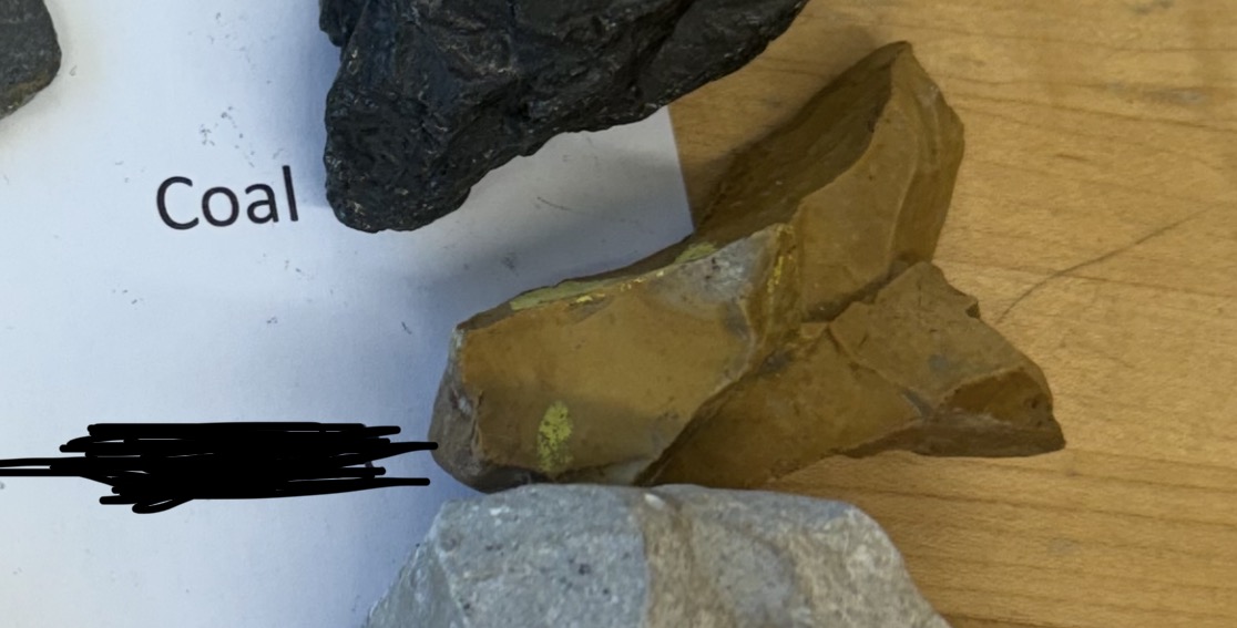 term image