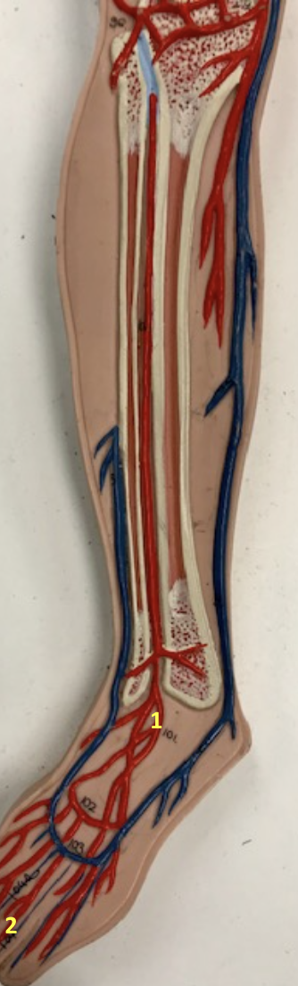 <p>2</p>