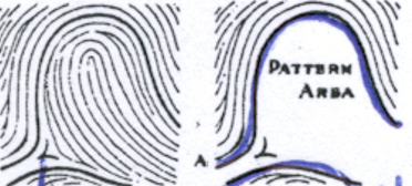 <p>The two innermost ridges that essentially outline the pattern area on a print.</p>