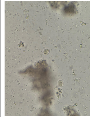 <p>identify</p>