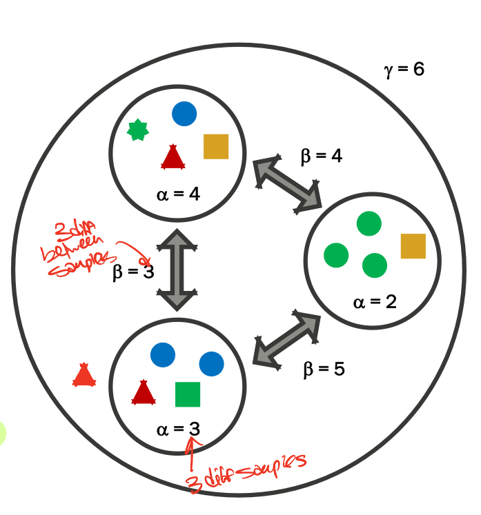 <p>Measuring Diversity</p>