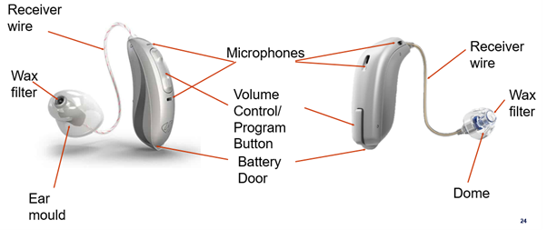 <p>name the parts of RIC.</p>