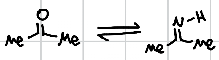 <p>immine formation</p>