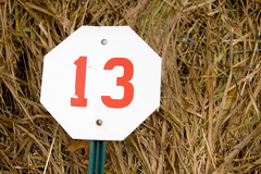 <p>thirteen</p>