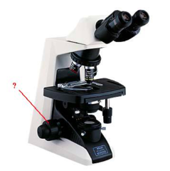 <p>identify the indicated part of the microscope</p>