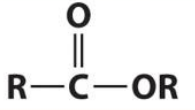 <p>Ester</p>