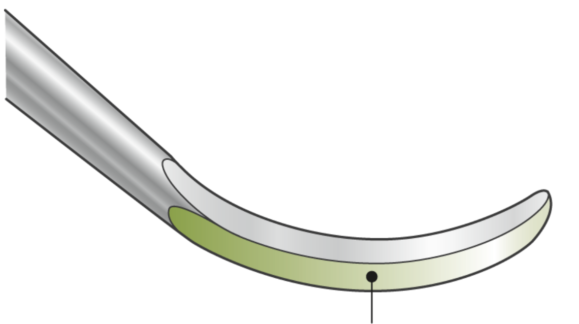 <p>what surface is shaded in green?</p>