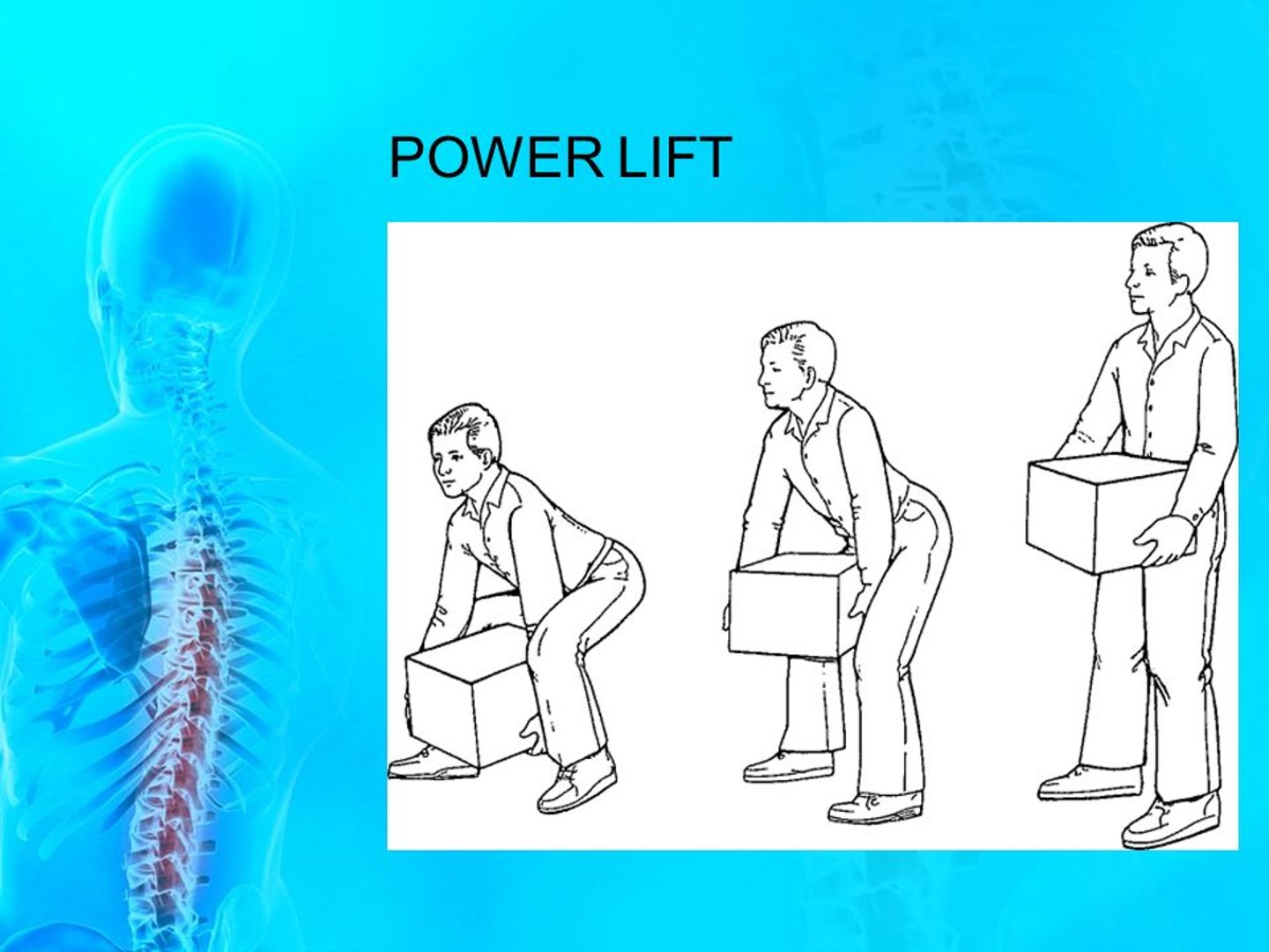 <p>flexing at the hips and knees, keeping eyes forward</p>