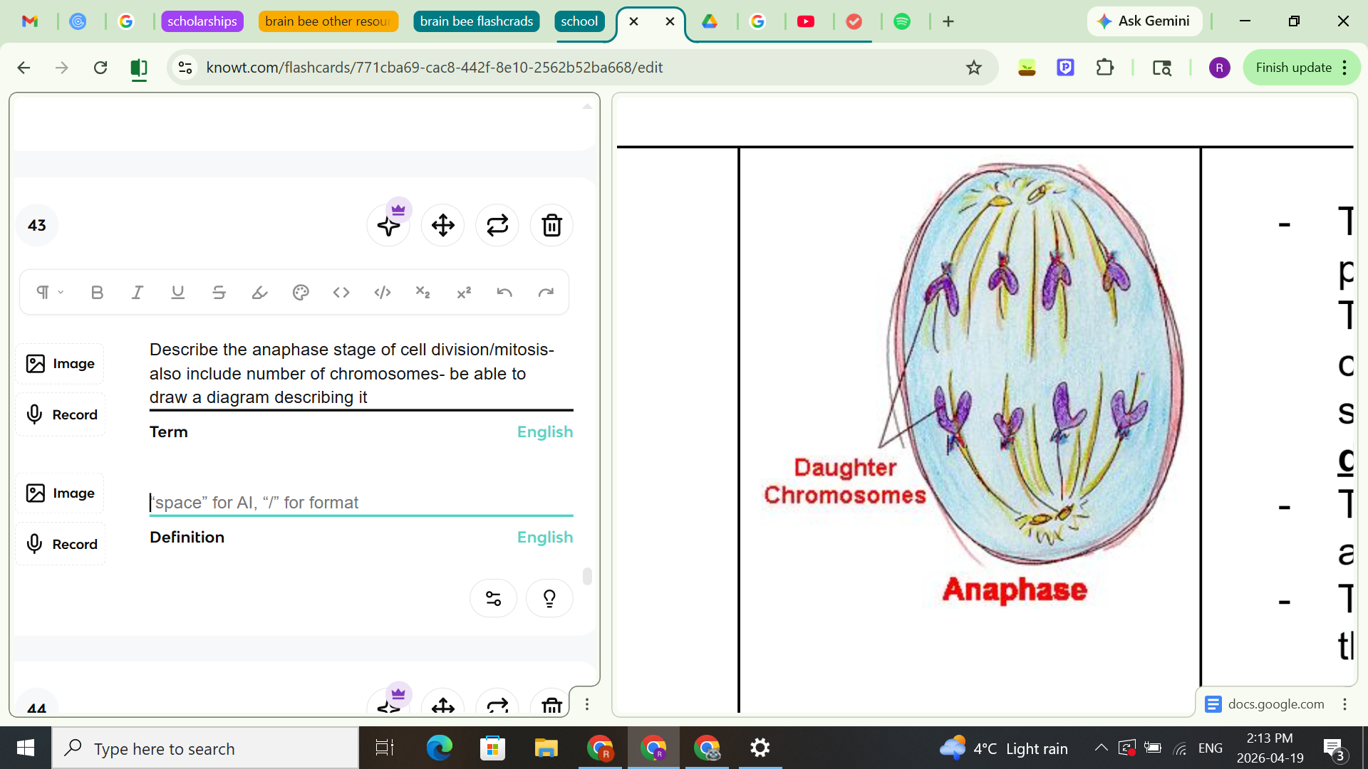 <ul><li><p><span style="background-color: transparent;">The spindle fibers shrink and pull the centromeres apart. This separates the double chromosome into single strands. They are now called <strong><u>daughter chromosomes&nbsp;</u></strong></span></p></li><li><p><span style="background-color: transparent;">The daughter chromosomes are pulled to the poles</span></p></li><li><p><span style="background-color: transparent;">The end of anaphase is when the daughter chromosomes are grouped tightly around the centrioles</span></p></li></ul><p><u>Chromosome number</u>:</p><ul><li><p>2n- 2 groups of 46 single chromosomes</p></li></ul><p></p>