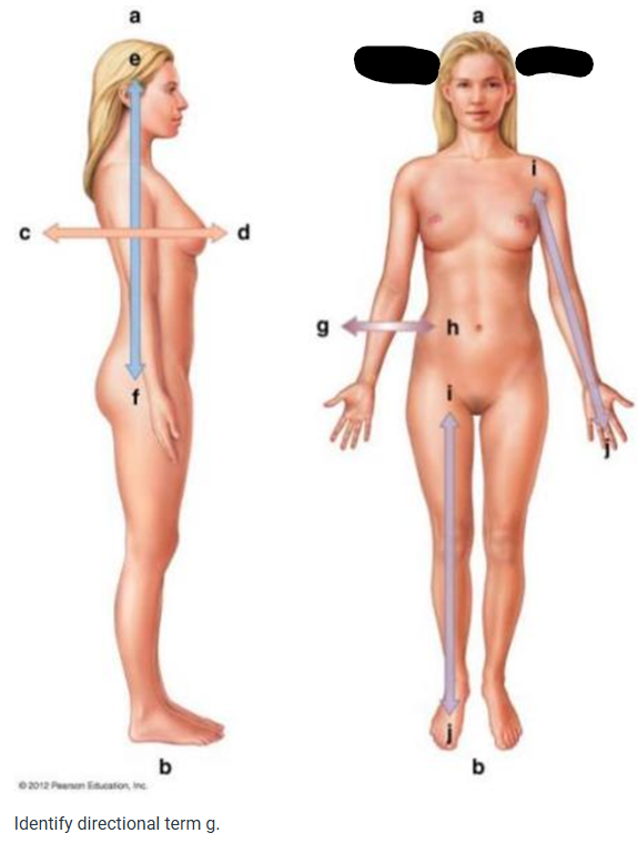 term image