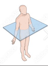 <p><strong>Transverse plane?</strong> </p>
