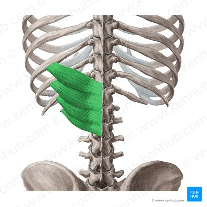 <p>What is this (in green)?</p>