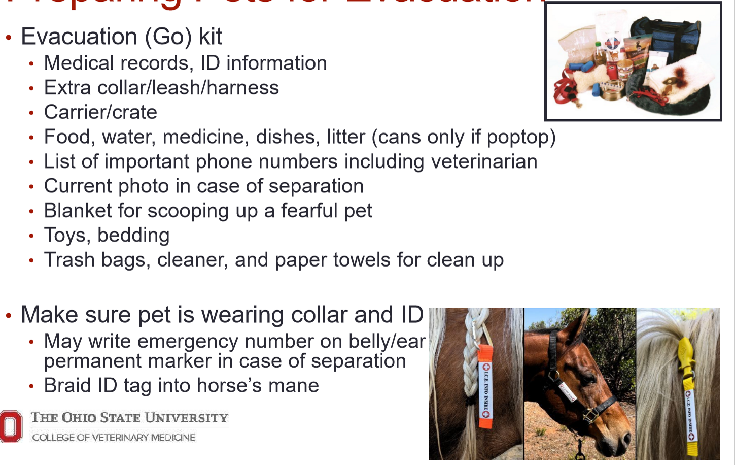 <ol><li><p>wherever their owner is going (e.g. hotel)</p></li><li><p>animal/temporary shelter</p></li></ol><p>.</p><p>medical records, extra collar/leash, carrier, food, water, meds, litter, vet &amp; owner contact info, current photo, blanket, etc.</p><p>.</p><p>make a list of places where you can drop your pet off, multiple routes to drive there, &amp; who can get your pets if you’re not home</p>