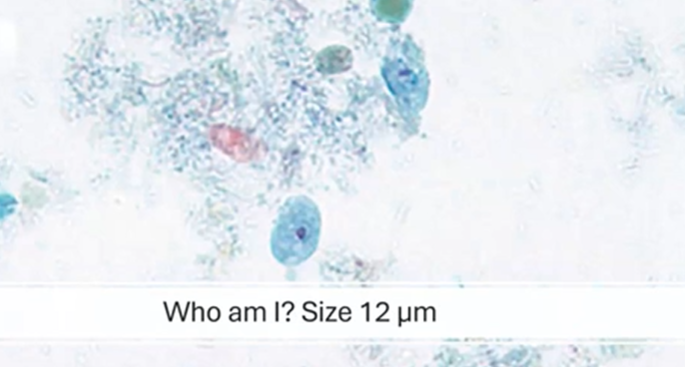 <p><span style="background-color: rgba(0, 0, 0, 0); line-height: 19.7625px;">What is the species in this photo and WHY?</span></p>