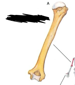 <p>What is this?</p>