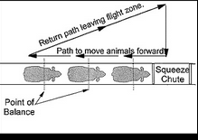 <p>walk backwards to move them forward</p>
