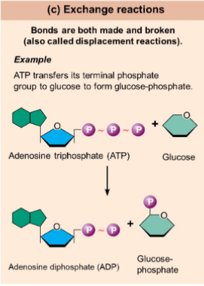 <p>reactions involve</p><p>both synthesis and</p><p>decomposition</p><p>Bonds are both made and</p><p>broken<br>AB + C = AC + B</p>