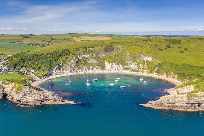 <p>cove</p>