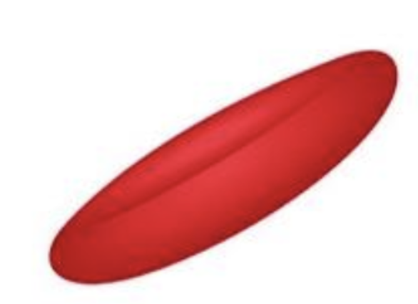 <p>Which Red Blood Cell is this?</p>