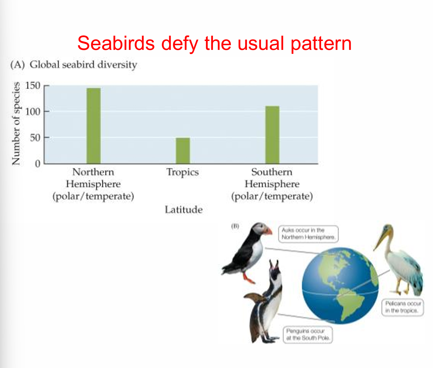 <p><span>Some groups, like penguins, seabirds, and certain conifers, thrive in colder regions.</span> </p><ul><li><p><strong>seabird species richness peaks at high latitudes (the poles) rather than the equator (the tropics)</strong>.</p></li></ul><p></p>