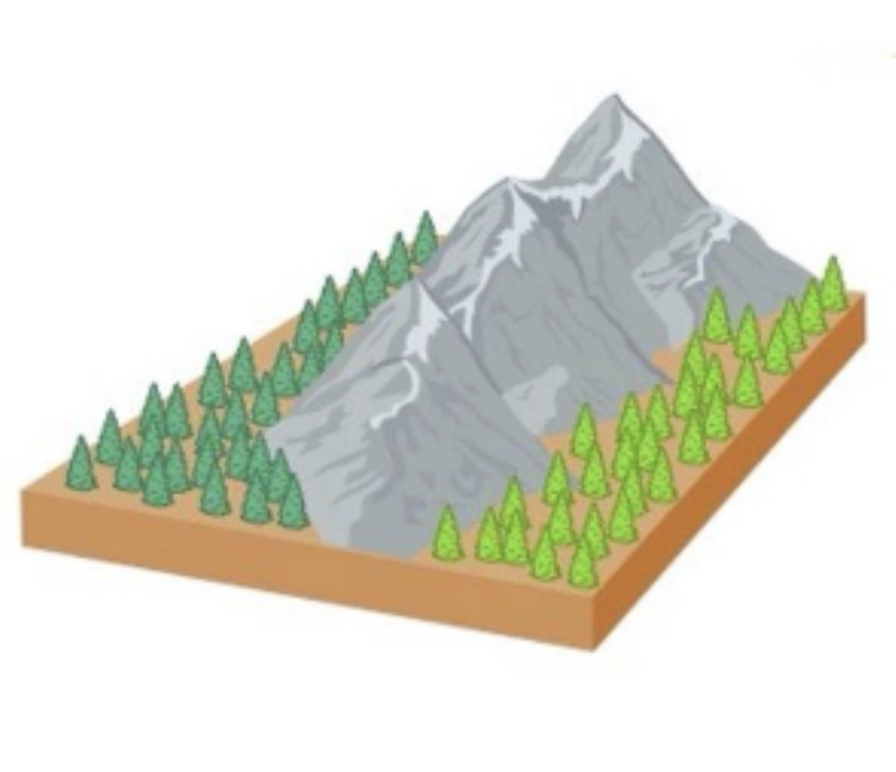 <p>Which pair of populations is likely to show the greatest genetic divergence?</p><p>A. A pair that has been partly isolated for 2 mil years with 9% gene flow during that time.<br>B. A pair that has been partly isolated for 0.5 mil years with 30% gene flow during that time.<br>C. A pair that has been partly isolated for 3 mil years with 4% gene flow during that time.</p>