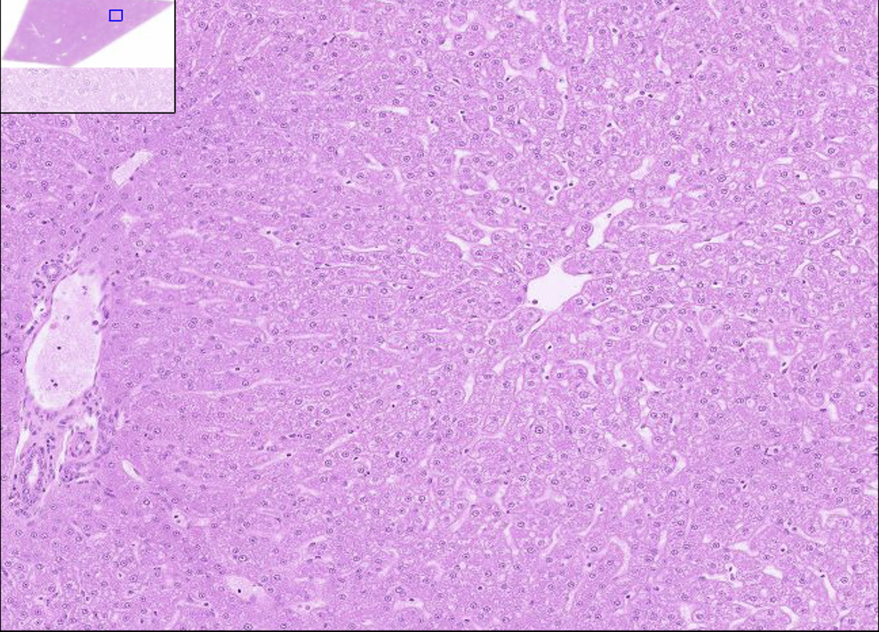 <p>What structure is this?</p>