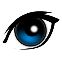 <p>les yeux</p>