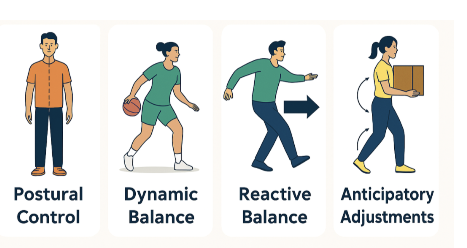 <p>the ability to control the position of your body above your feet</p><ul><li><p>keeping yourself upright and not fall</p></li></ul><p></p>