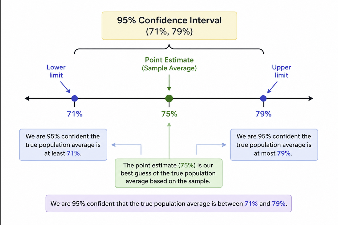 <p>A single best “guess” (the sample mean/average)</p><ul><li><p>you literally built the confidence interval around it</p></li></ul><p></p>