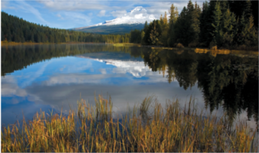 <p>key zones:</p><ol><li><p>littoral zone</p></li><li><p>limnetic zone</p></li><li><p>profundal zone</p></li><li><p>benthic zone</p></li></ol><p></p>