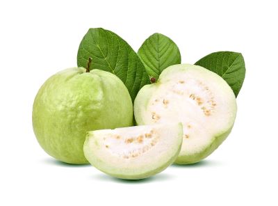 <p>n. It is a tropical fruit with green skin.</p>