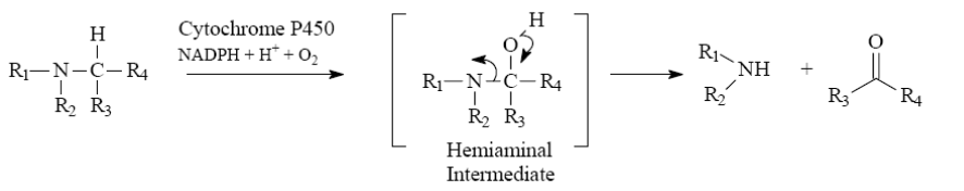<p>What happens during N-dealkylation?</p>