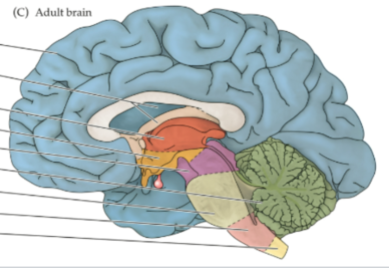 <p>What is the darkish blue area</p>