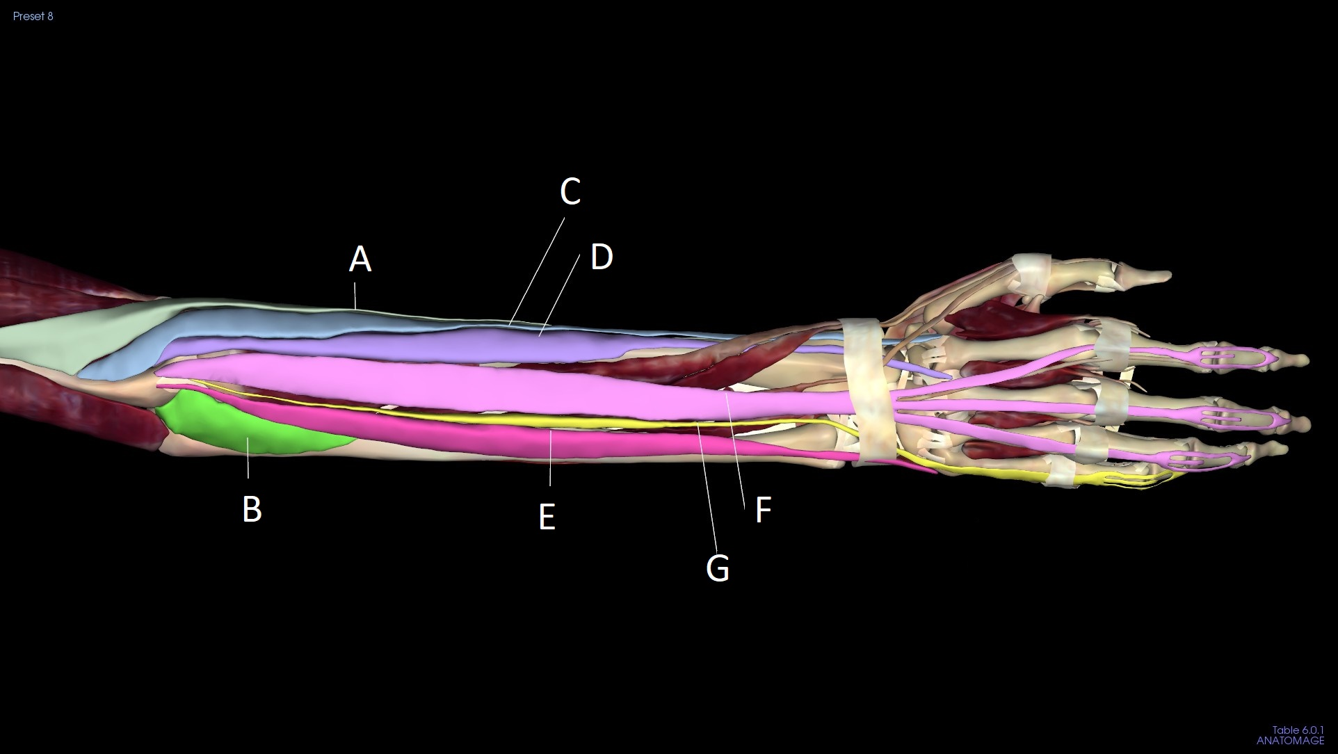 <p>B</p>