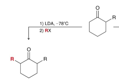 <p>How do you get the thermodynamic product from alkylation (less substitued)?</p>