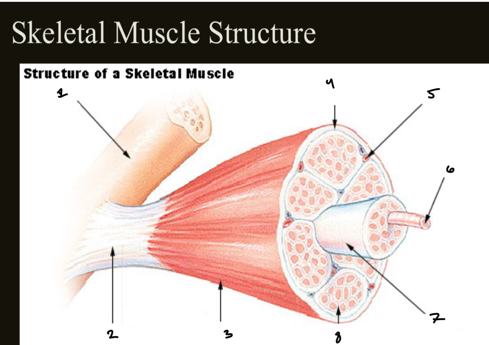 <p>1.XX </p><p>2.XX</p><p>3.XX</p><p>4.XX</p><p>5.XX</p><p>6.XX</p><p>7.XX</p><p>8.XX</p>