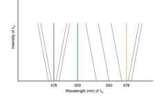 <p>the change in hue of most spectral colors that accompanies a change in their intensity or luminance</p><p>for most wavelength hue changes slightly as intensity is adjusted</p>