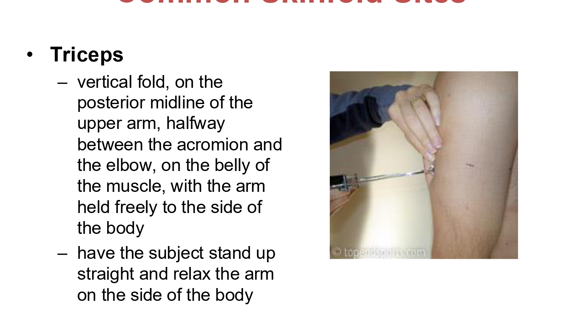 <p>vertical, halfway between acromion and elbow </p>