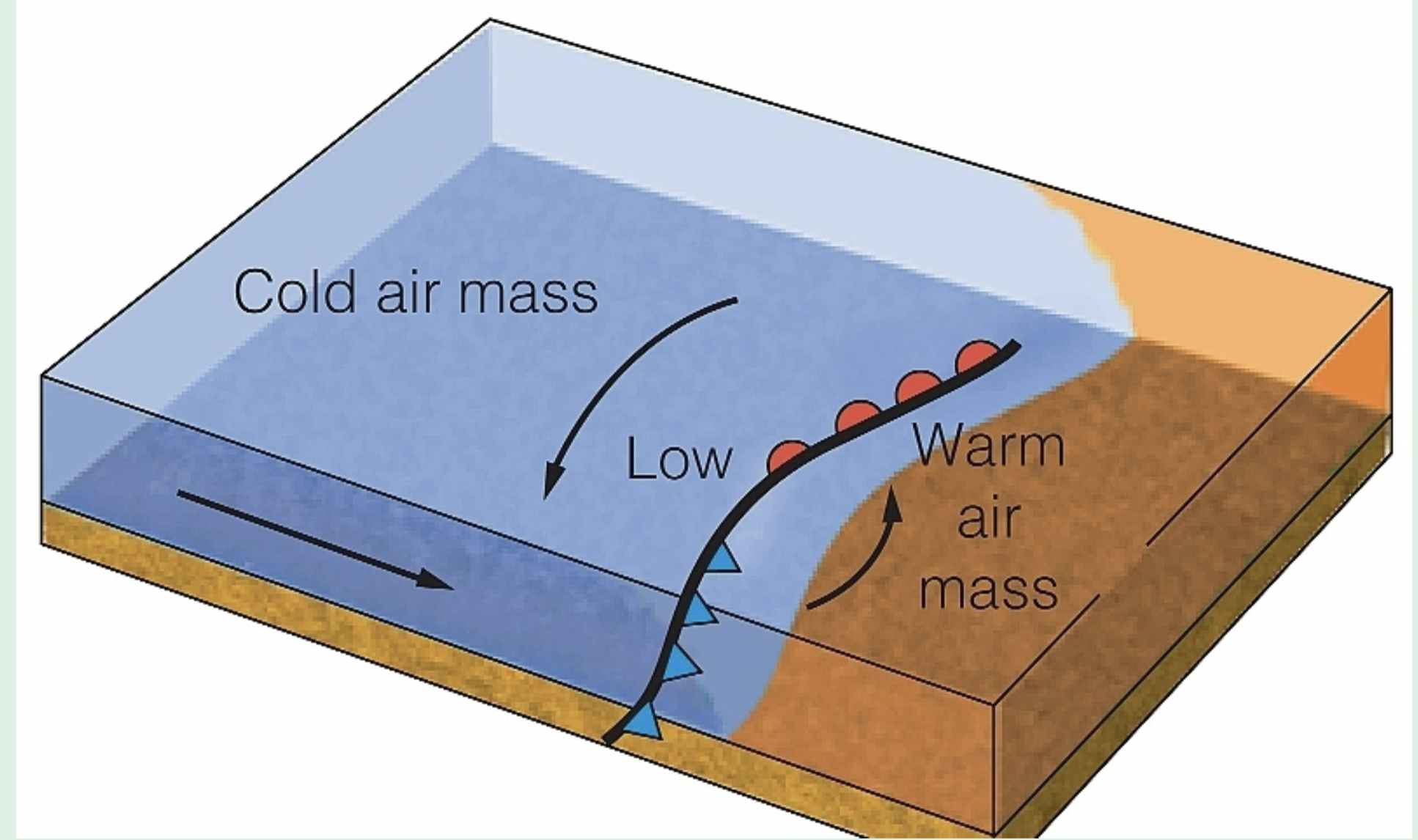 <p><strong>first stage of formation of midlatitude cyclone </strong></p><ul><li><p>Midlatitude cyclones (storms) develop at boundary between warm and cold air masses</p></li><li><p>Stationary front develops at boundary between air masses</p></li></ul><p></p>