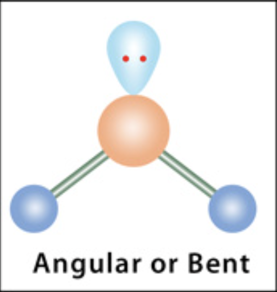 <p>Bent or Angular</p>